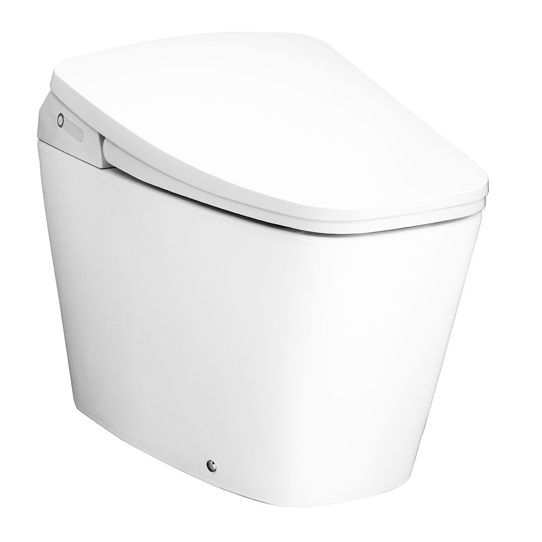 Verzo One Piece Toilet