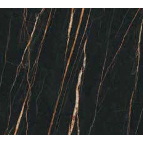 GP12MM120X240แซลลี่โรแลนด์ดำ(MATT)(1P)PM